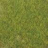 Statická tráva - středně zelená 6mm 50g