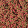 Koberec - květiny červené 15x9,5cm