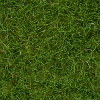 Statická tráva - planá světle zelená 6mm 100g