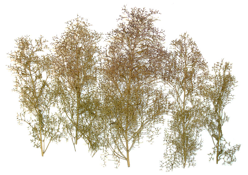 Modelová železnice - Strom - přírodní bez listí 4-20cm 15-30ks