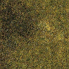 Koberec - louka podzimní 50x35cm