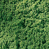 Koberec - tráva světle zelená 25x15cm