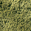 Koberec - tráva jarní 25x15cm