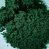 Molitanová pěna - tmavě zelená jemná 1,0l