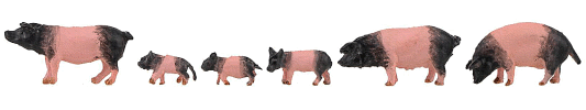 H0 Figurky - prasata růžovočerná