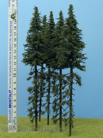 Strom - smrk krajní jednostranný porost zapichovací 20cm