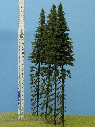 Strom - smrk krajní, jednostranný porost zapichovací 25cm
