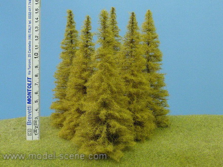 Strom - modřín podzimní zapichovací 15cm