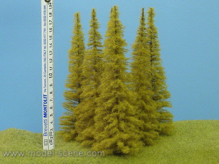 Strom - modřín podzimní zapichovací 20cm