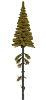 Strom - modřín vysoký kmen zapichovací 15cm