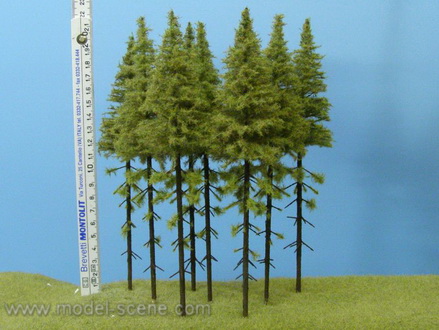 Strom - modřín vysoký kmen zapichovací 20cm