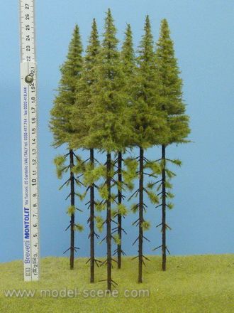 Strom - modřín vysoký kmen zapichovací 25cm
