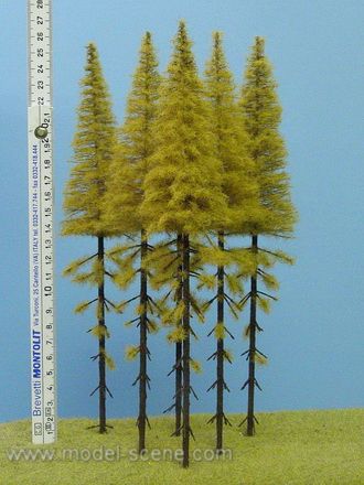 Strom - modřín podzimní vysoký kmen zapichovací 25cm