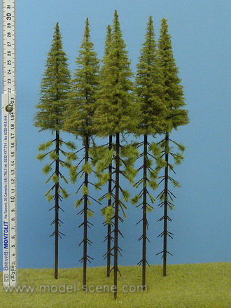 Strom - modřín vysoký kmen zapichovací 30cm