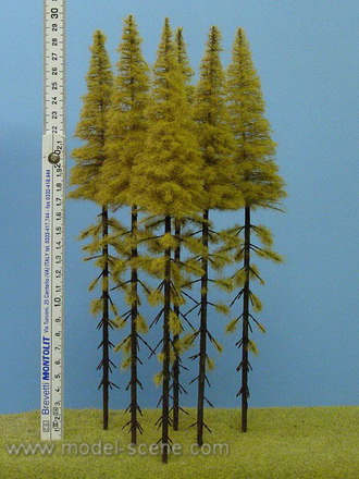 Strom - modřín podzimní vysoký kmen zapichovací 30cm