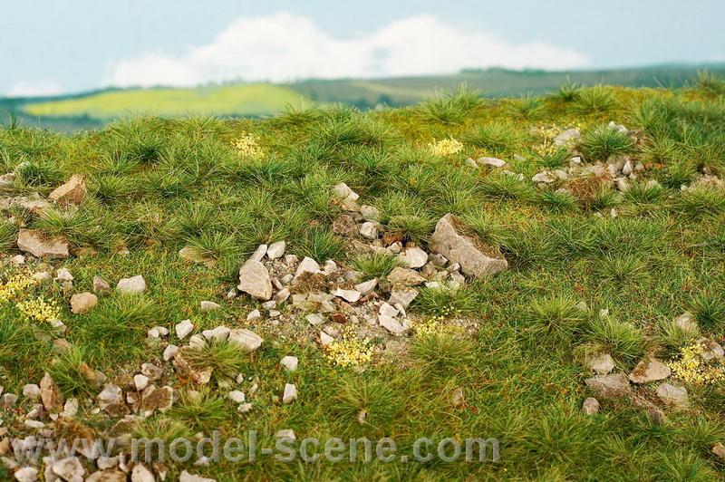 Foliáž - časné léto vápencové kameny L 28x18cm