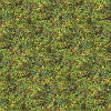 Statická tráva - směs pastvina 2,5-6mm 50g