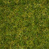 Statická tráva - směs letní louka 2,5-6mm 100g