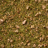 Statická tráva - směs horská pastvina 2,5-6mm 100g