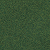 Statická tráva - planá středně zelená 6mm 50g