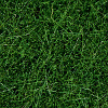 Statická tráva - planá tmavě zelená 6mm 100g