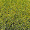 Statická tráva - jarní louka 2,5mm 20g