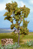 Strom - jeřabina s bobulemi 11,5cm