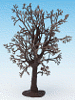 Strom - buk bez listí 13cm