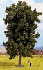 Strom - jírovec 19cm