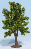 Strom - švestka 8cm