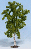 Strom - bříza 10cm
