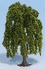 Strom - smuteční vrba 8cm